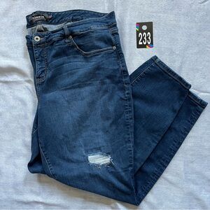 #233 size 24R Torrid